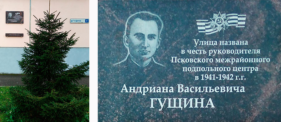 Гущин Андриан Васильевич мемориальная доска